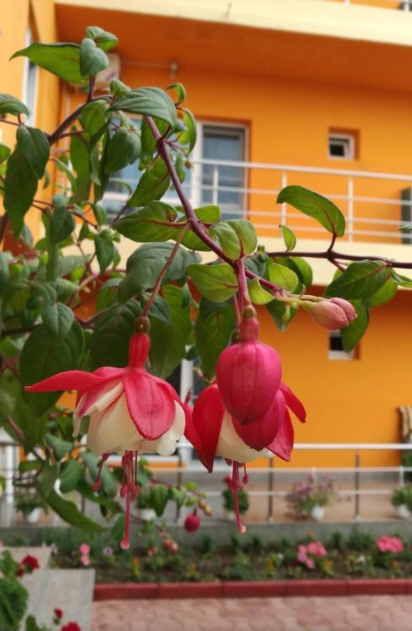 Hotel Vila Oranj Costinești Exterior foto